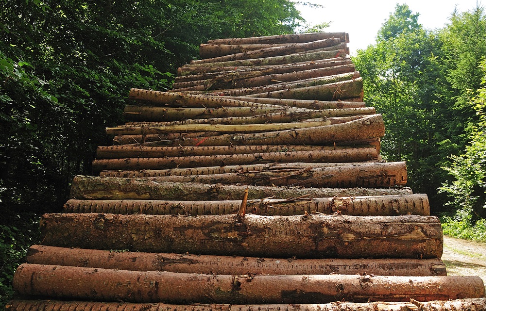 NAHB supports legislation banning timber imports from Russia and Belarus