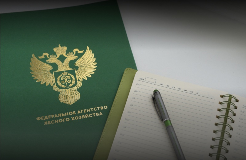 «Рослесхоз»: срок рассмотрения лесной декларации сокращен до четырех рабочих дней