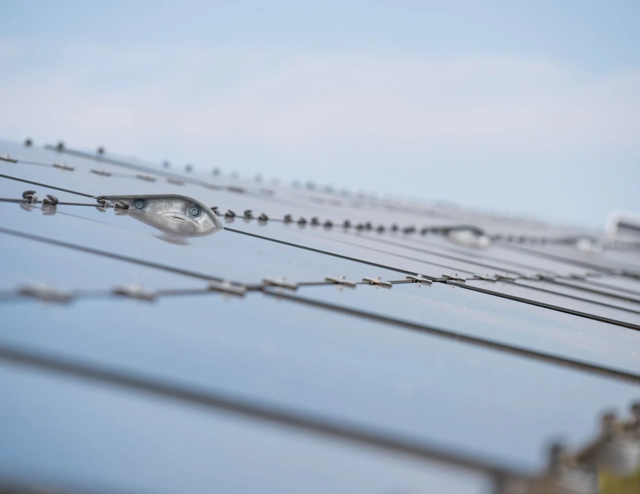 Inga Investments a achiziționat un parc solar fotovoltaic gata de construit în România