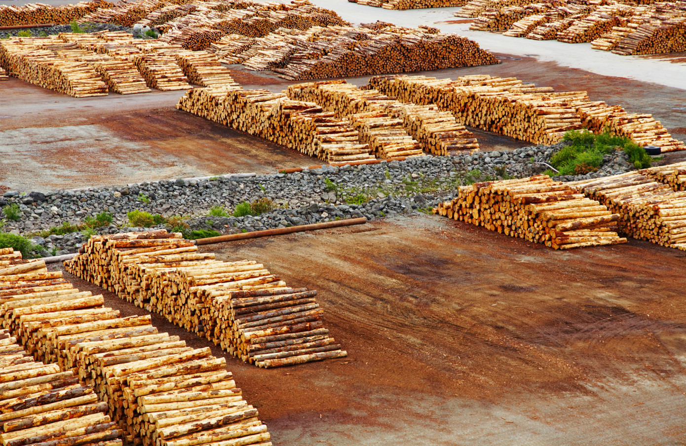 Цены на экспортные лесоматериалы из Новой Зеландии достигли самого низкого уровня за последний год