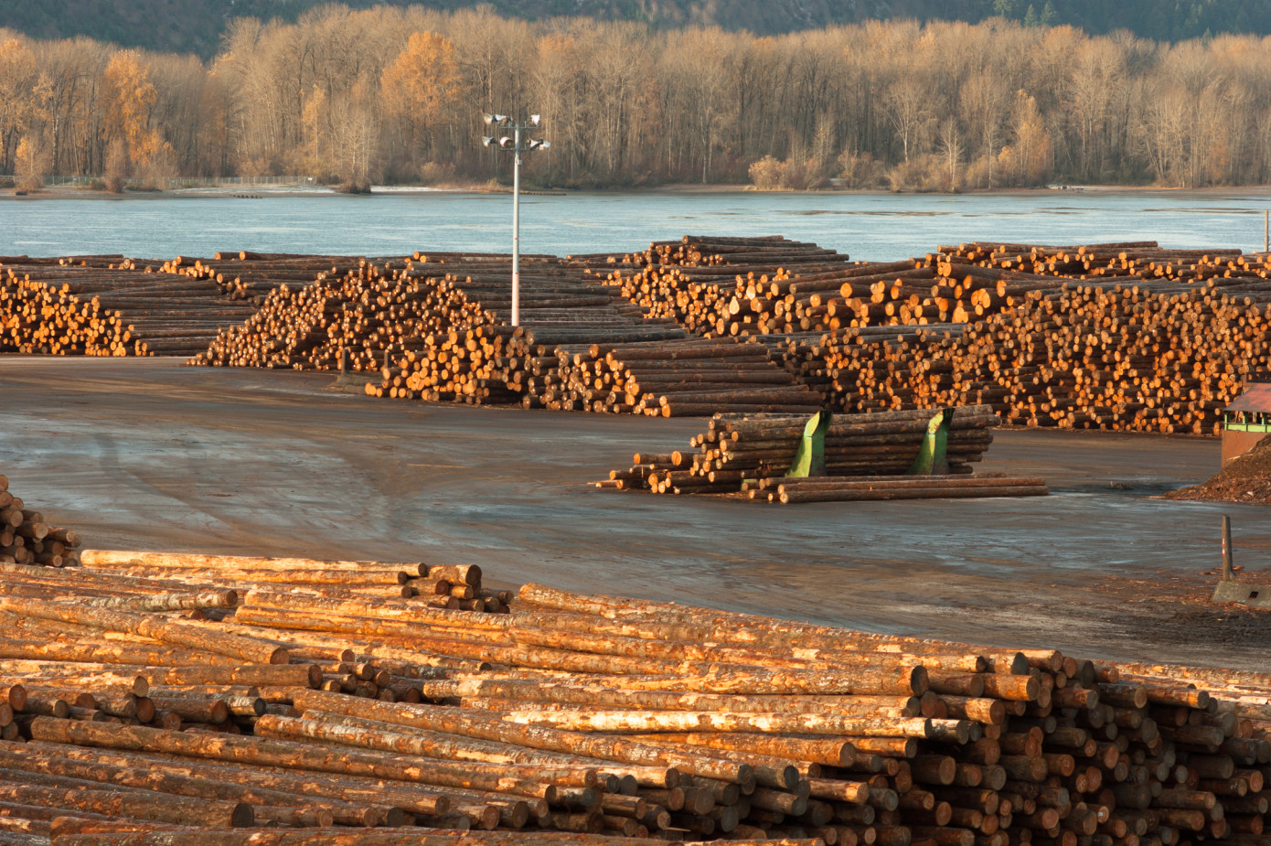 U.S. log exports decrease 14% in 2023