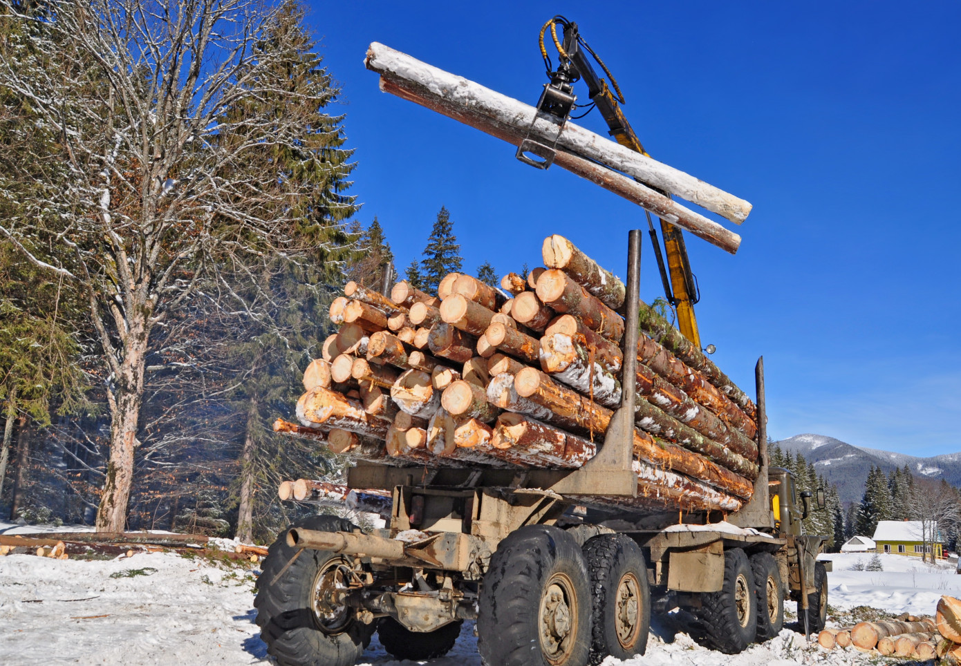 Notified felling area in Sweden rises 35% in January