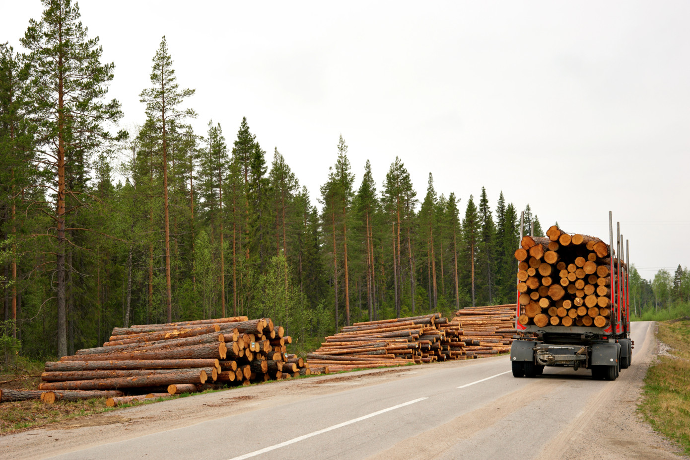 Sweden reports decline in pulpwood stocks in third quarter 2025