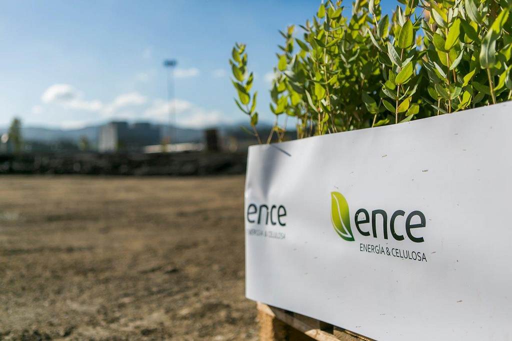 Ence reports Q4 net profit of more than Euro 3 million