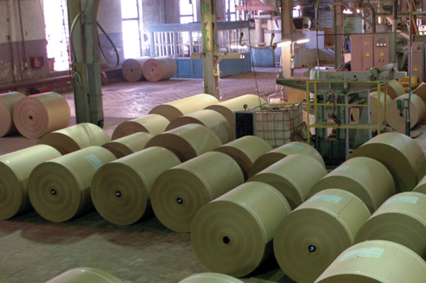 Предприятия компании «Объединенные бумажные фабрики» подтвердили сертификаты FSC