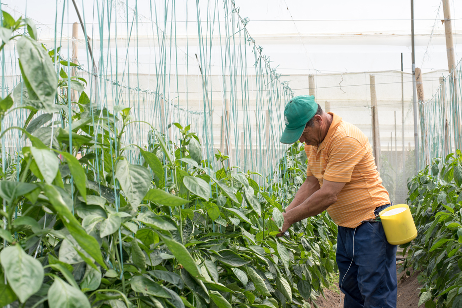 Smurfit Westrock invested $3.5 million in social initiatives in Colombia