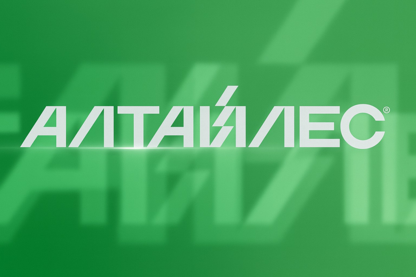 Холдинг «Алтайлес» начал маркировать MDF-плиты собственного производства