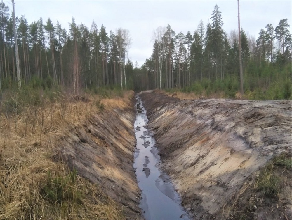 LVM renewing forest drainage system in North Kurzeme region, Latvia