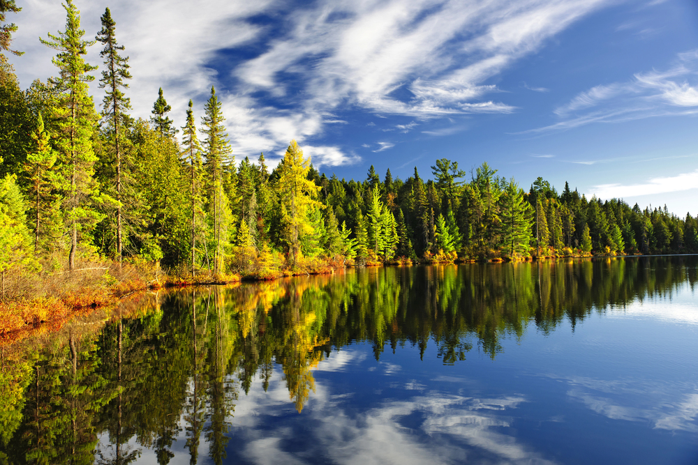 Ontario unveils 10-year forestry roadmap to counter U.S. lumber tariffs
