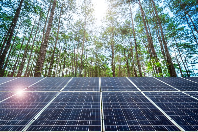 Rottneros инвестирует более $8 млн в строительство солнечной электростанции
