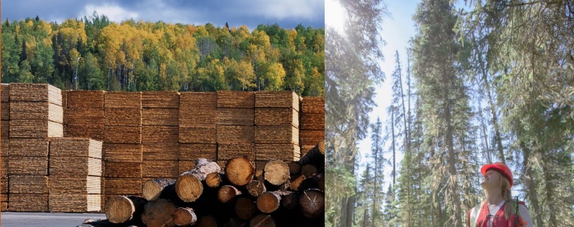West Fraser Timber cuts production capacity at three mills in Canada