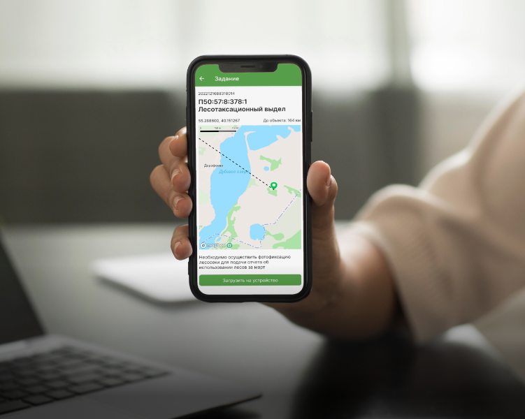 «Рослесхоз»: в мобильном приложении ФГИС ЛК доступна фотофиксация лесохозяйственных мероприятий