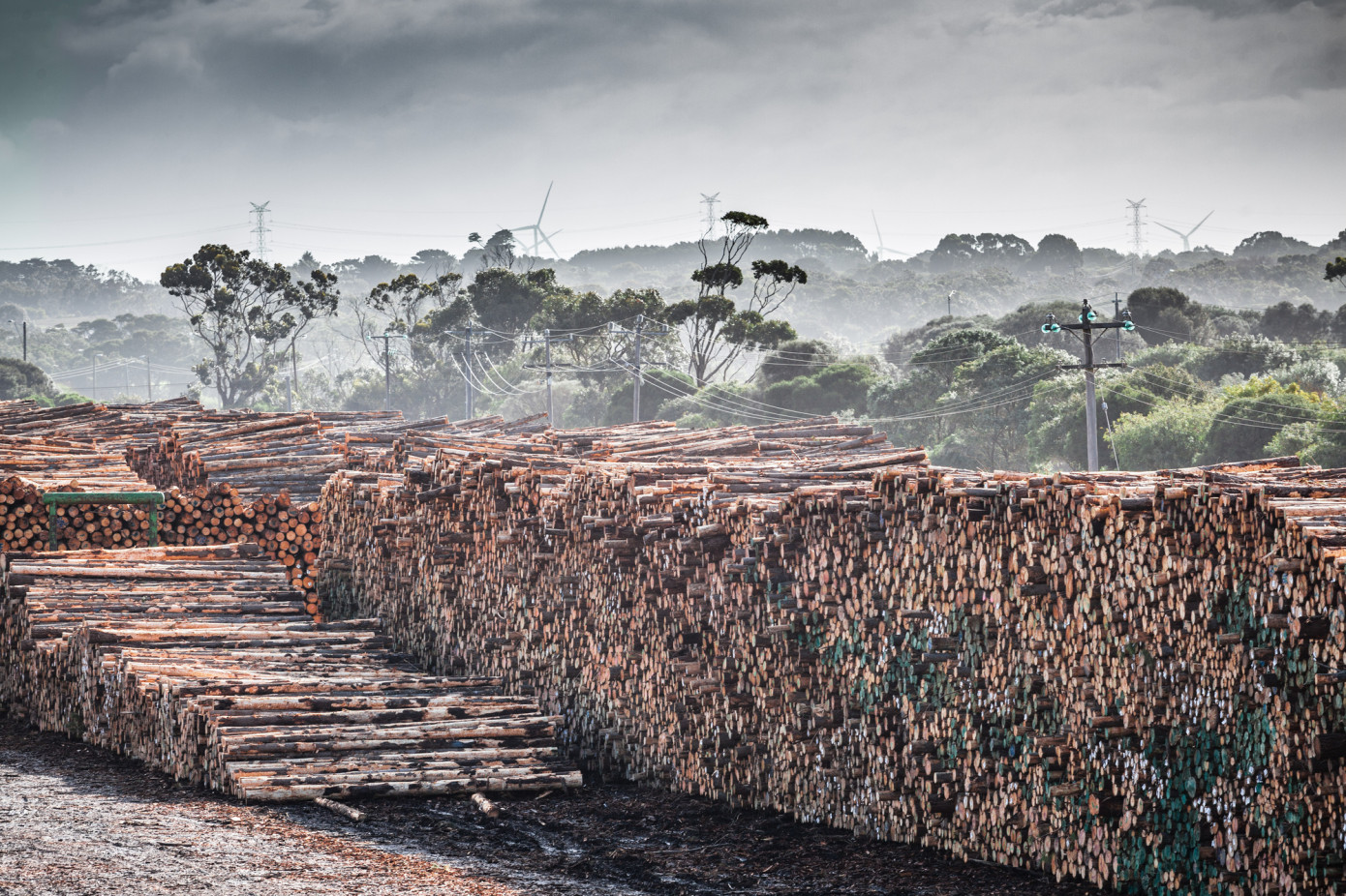After years of ban, Australian log exports to China back on track