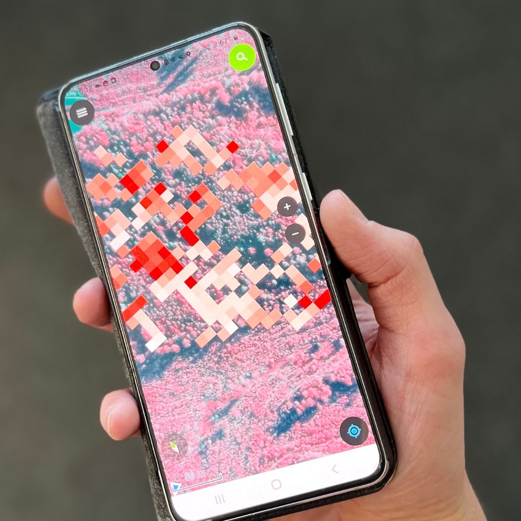 CollectiveCrunch and Metsä Group develop AI-based solution for forest health monitoring