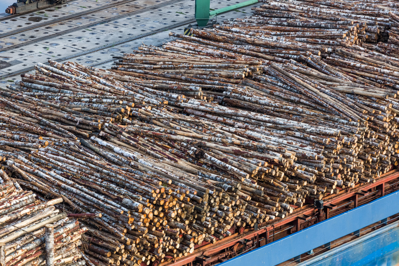 Импорт балансовой древесины в Финляндию упал в феврале на 31%