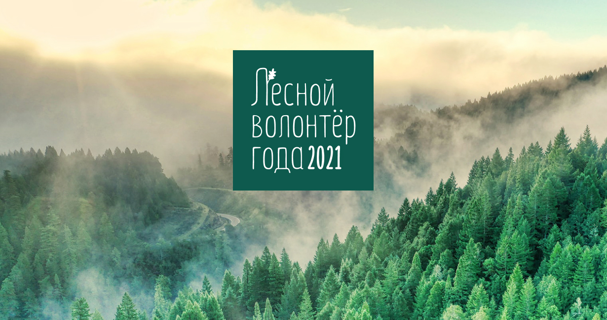 FSC России проводит конкурс «Лесной волонтер года — 2021»