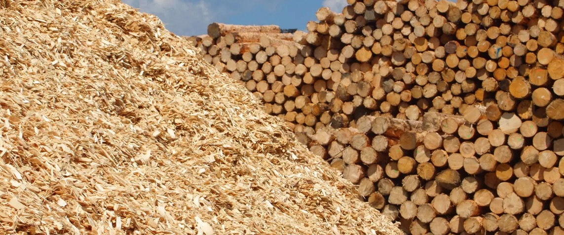 HS Timber Group appoints Johannes Bergmann as Head of Group Communications