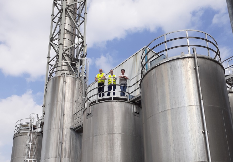 Sappi to increase efficiency of production processes at its Ehingen mill in Germany