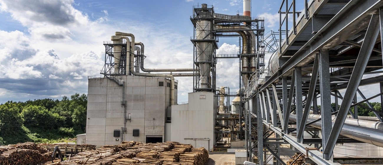 Sonae Arauco to invest in wood fiber insulation production line at Meppen site in Germany