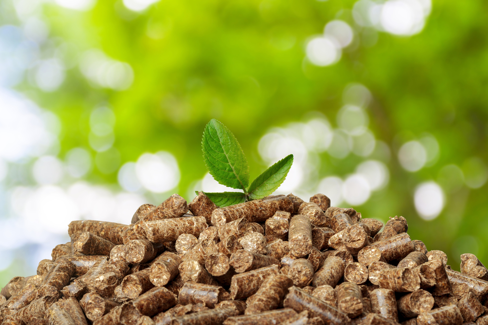 US Congress includes modern wood heating incentives in massive clean energy package