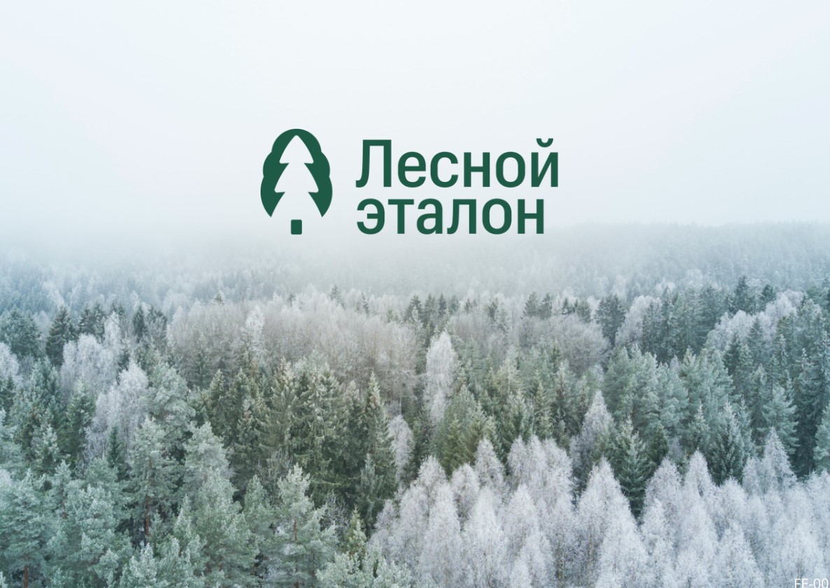 В 2022 г. в России выдано более 250 сертификатов «Лесной эталон»