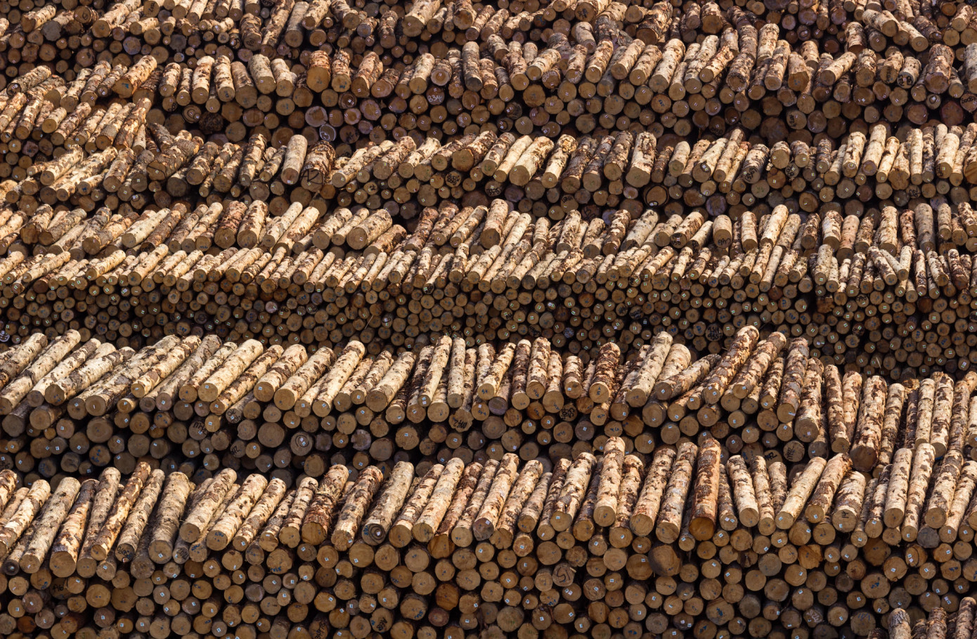 Imports of logs to China decrease 32% in February