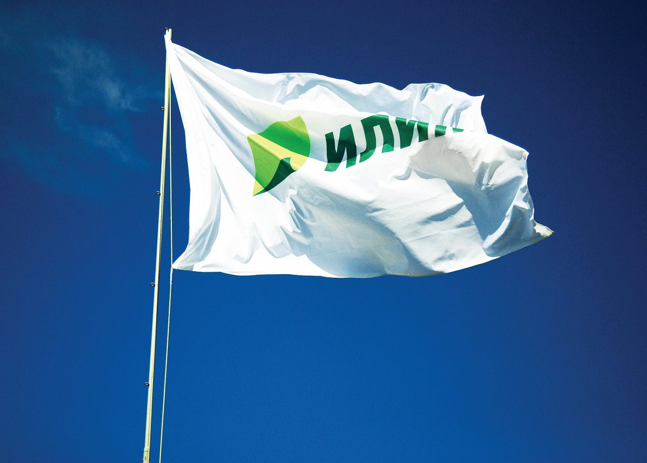 В Архангельской обл. создадут образовательный кластер лесопромышленного профиля