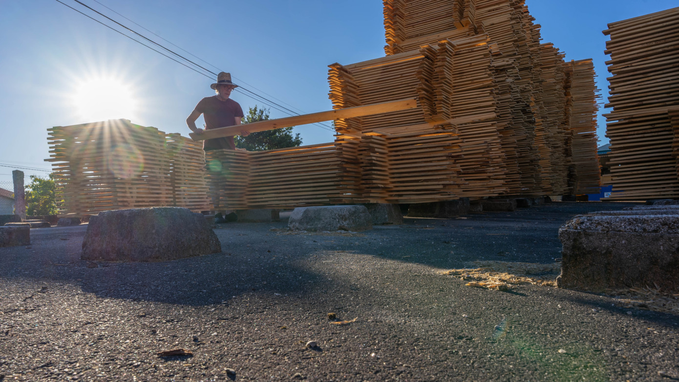 Exports of lumber from New Zealand contract 47% in January