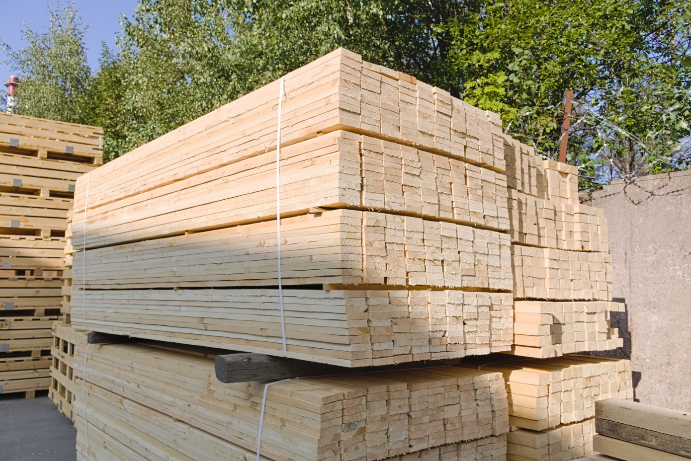 In January, price for lumber exported from Lithuania increases 5%