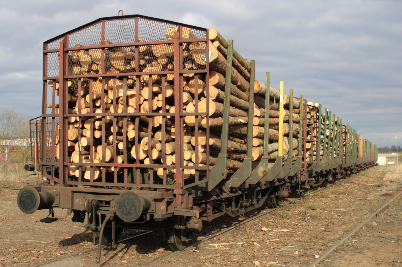 Россия отказалась от временных таможенных деклараций на вывоз древесины из ЕАЭС