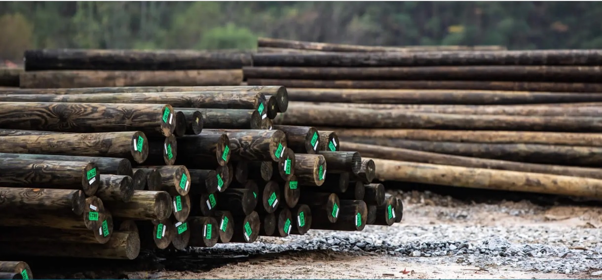 Koppers Holdings appoints Laura Posadas to expanded Board of Directors