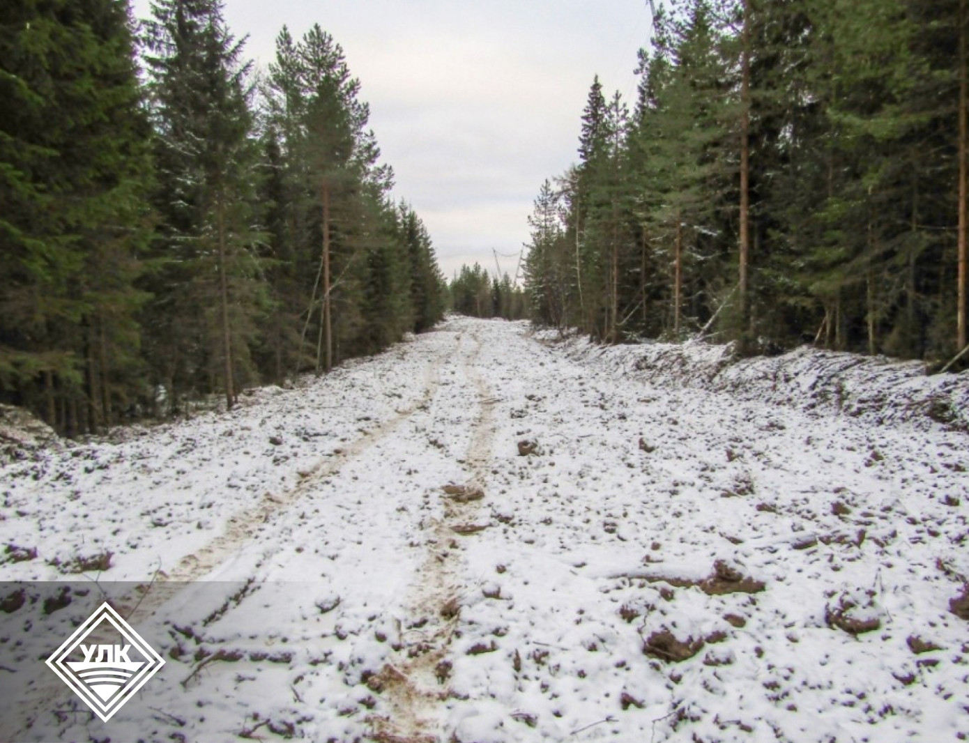 Устьянский леспромхоз сократит плечо вывозки древесины