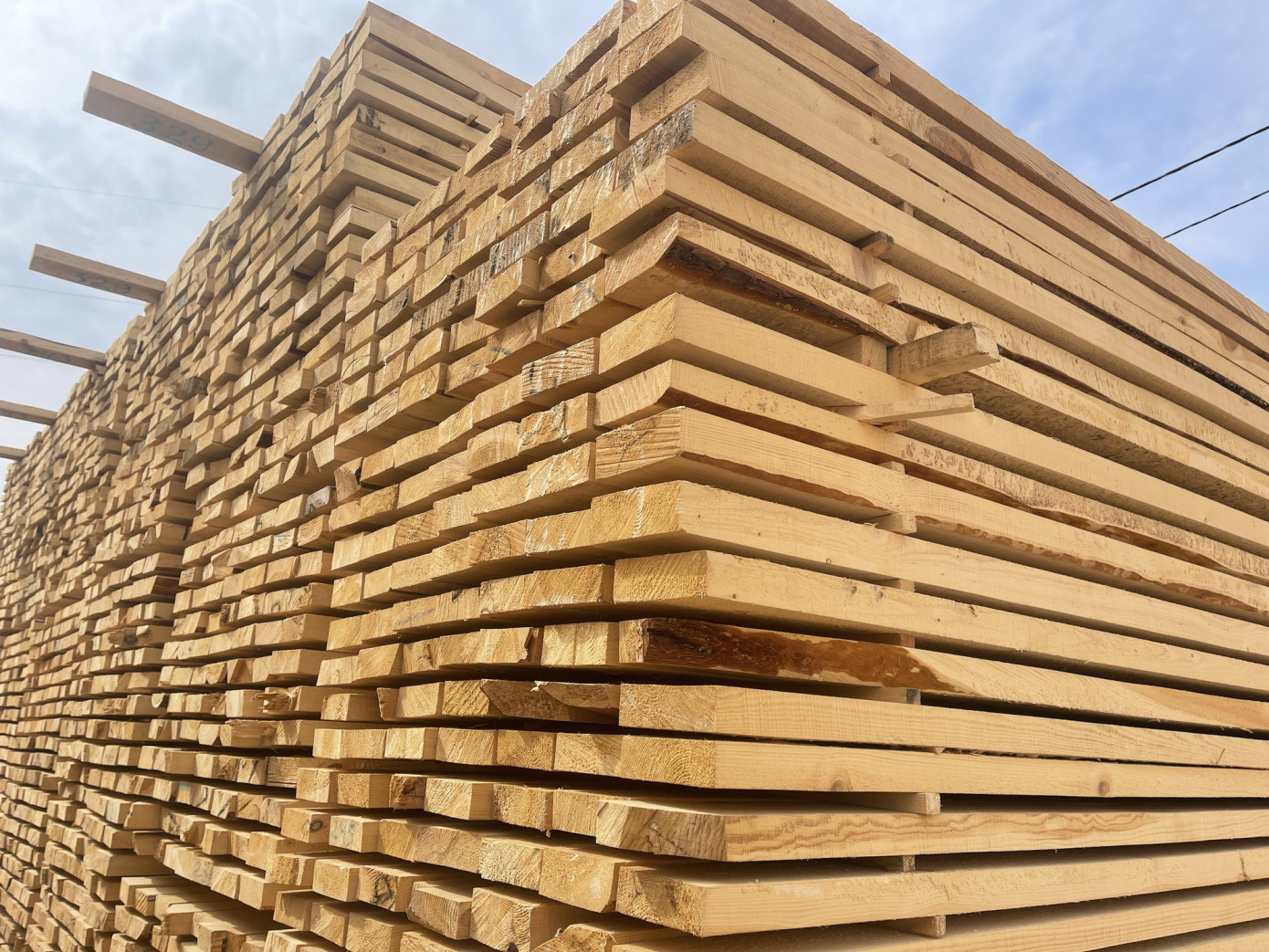 Lumber production in Canada gains momentum