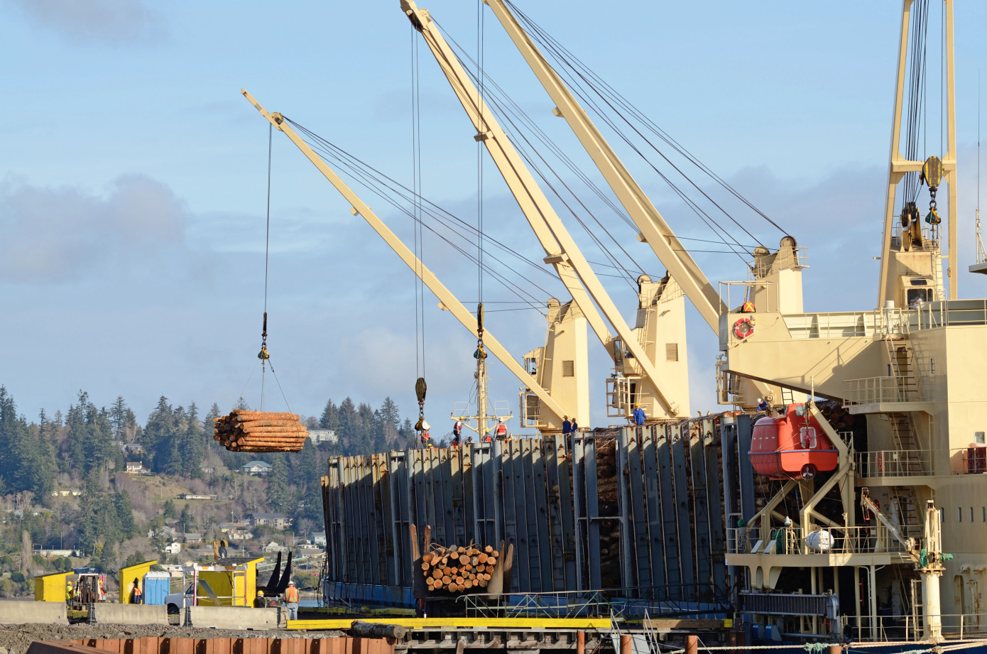 China CFR log prices fall in December as softwood demand remains steady