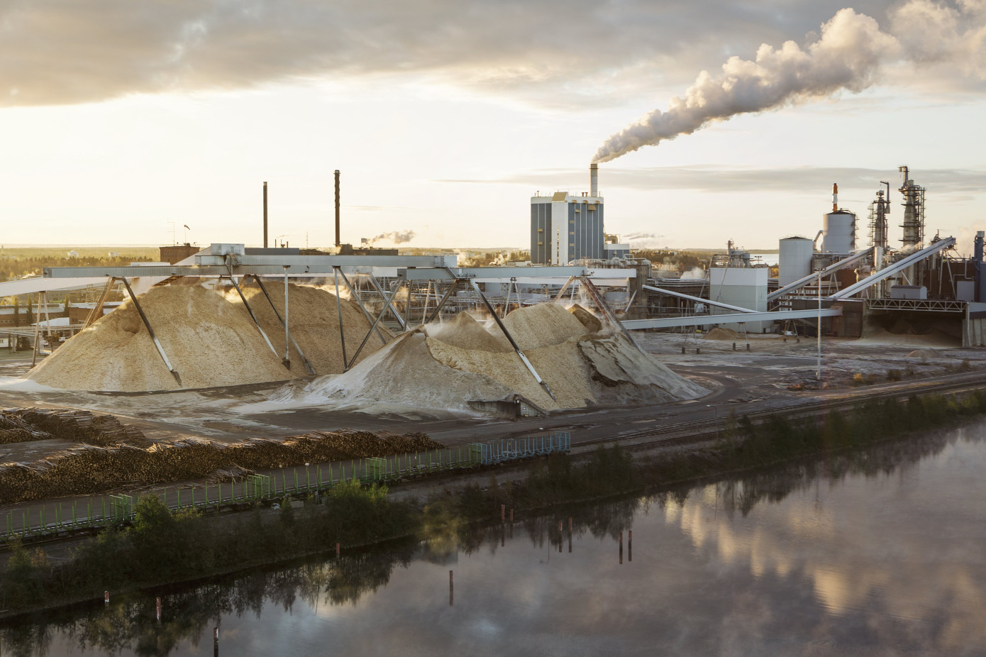 Wood pulp prices surge amid supply issues