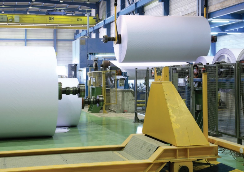 В 1 кв. 2025 г. выручка Iberpapel выросла на 6%