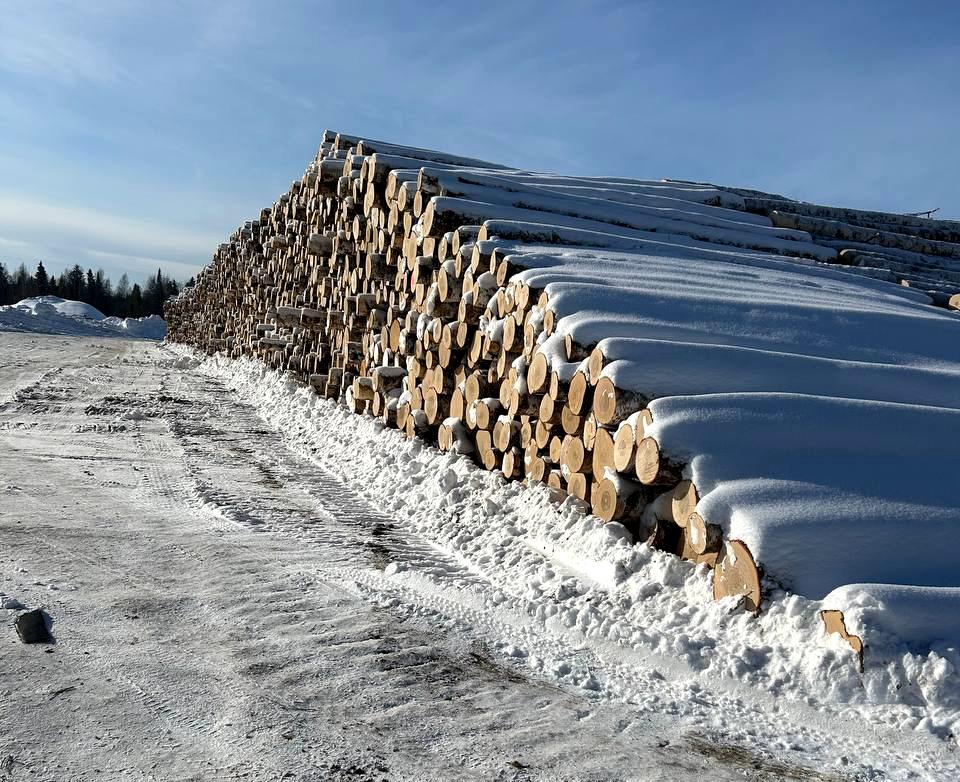 «Свеза» завершила снегование древесины