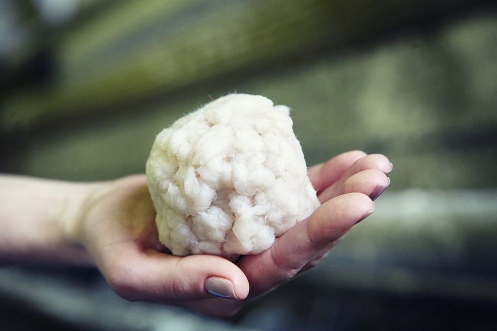 Сокольский ЦБК внедрил инновационную систему экологического контроля