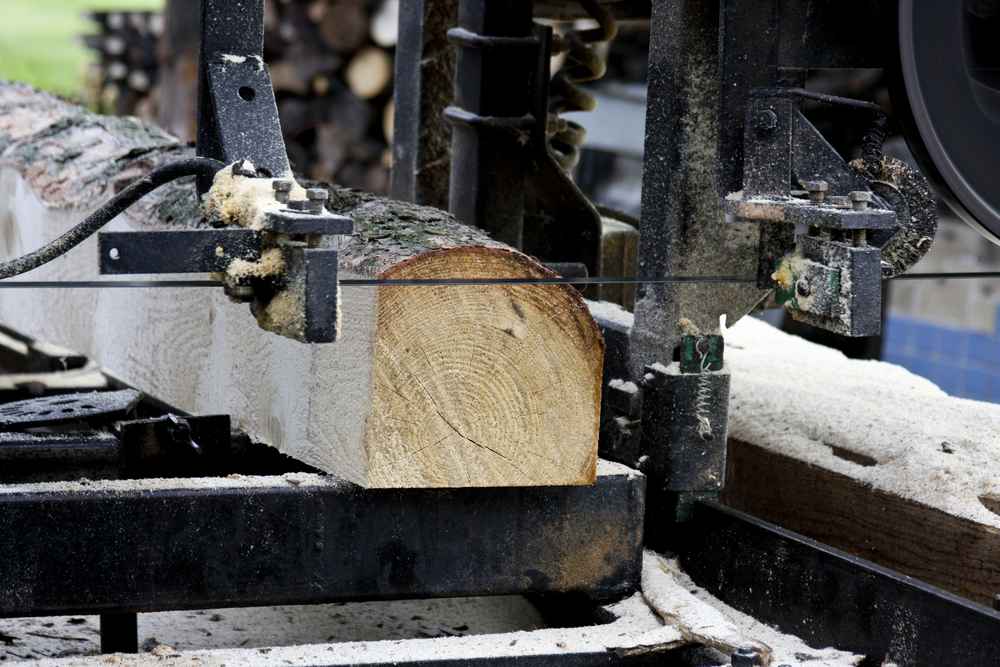 В России запустят льготное кредитование переработки древесины