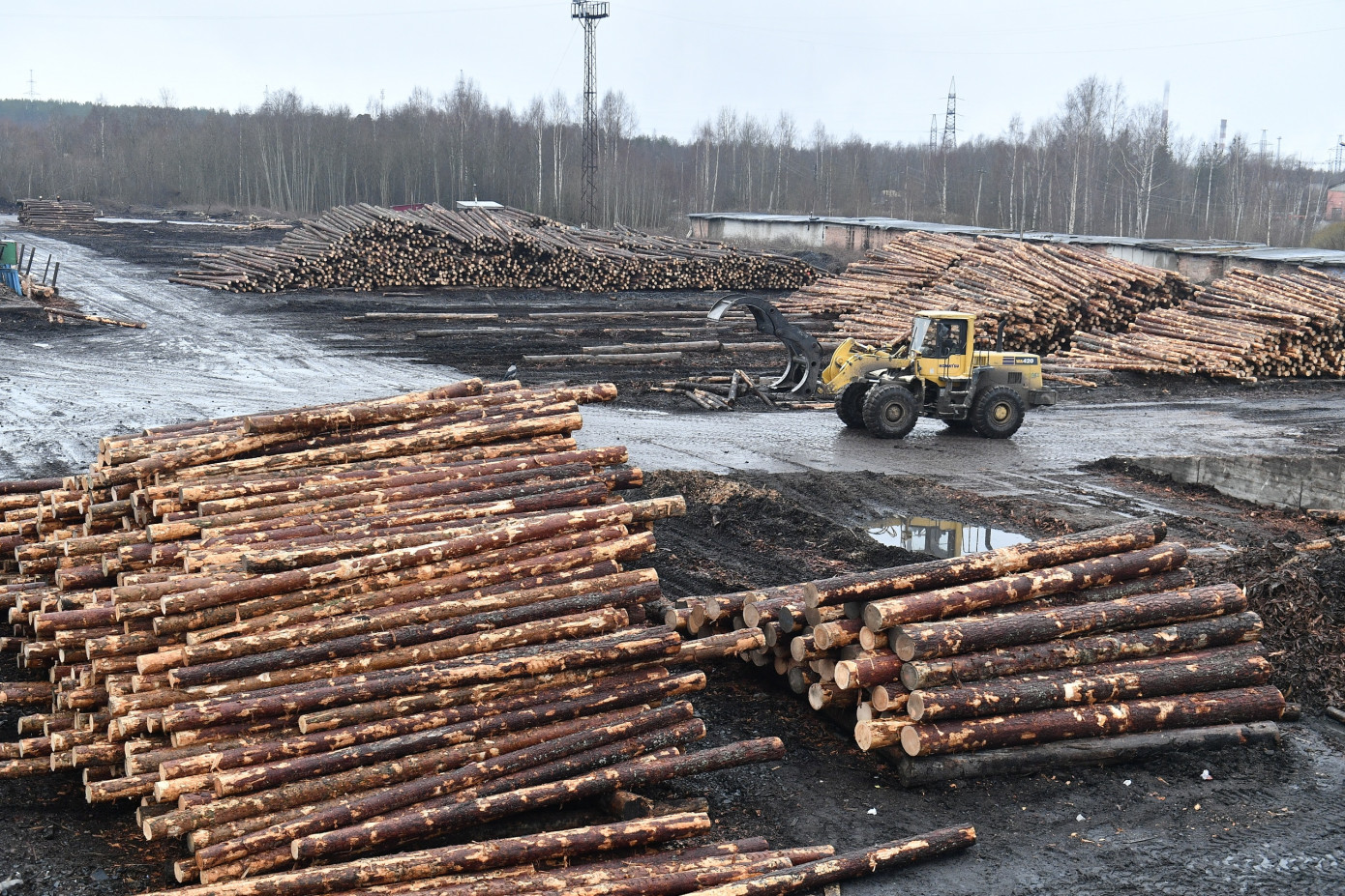 В 1 кв. 2020 г. на Кондопожском лесопильно-экспортном заводе начнется строительство двух новых цехов