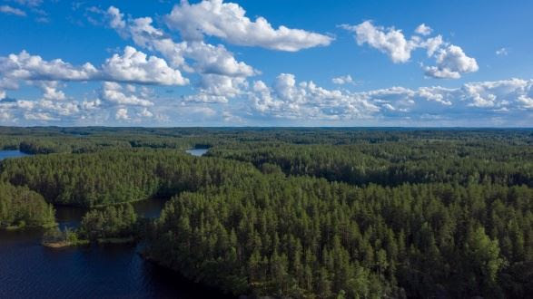 UPM расширяет природоохранное сотрудничество в Балтийском море