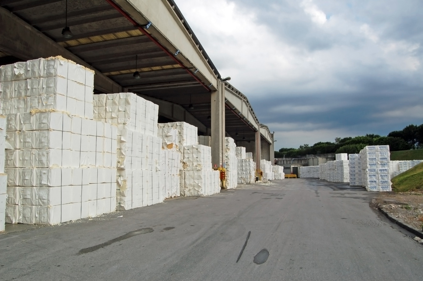 In July, Brazilian softwood bleached kraft pulp exports increased 22%