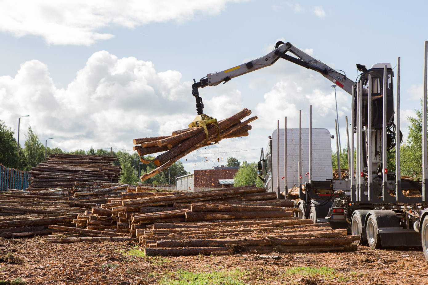 Wood harvesting in Finland increase 1% in Q1 2023