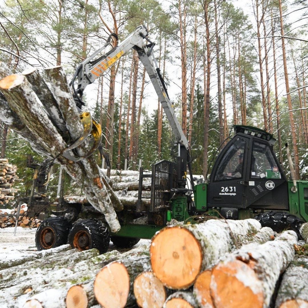 В 2024 г. в лесхозах Беларуси создадут более 60 новых рабочих мест