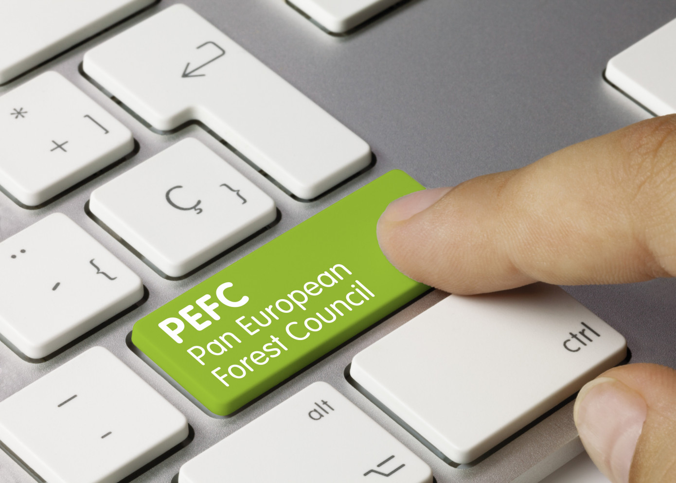 PEFC extends transition period for 2020 standards