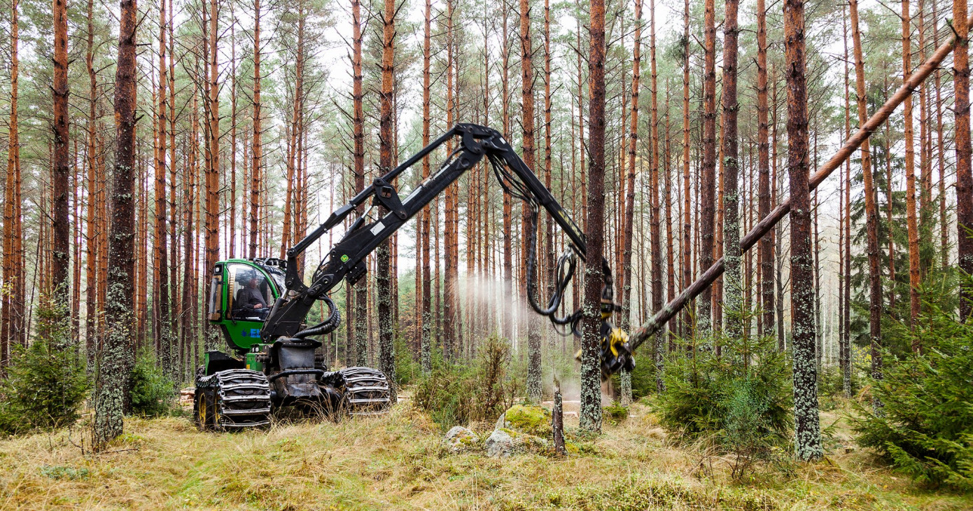 Mellanskog increases prices