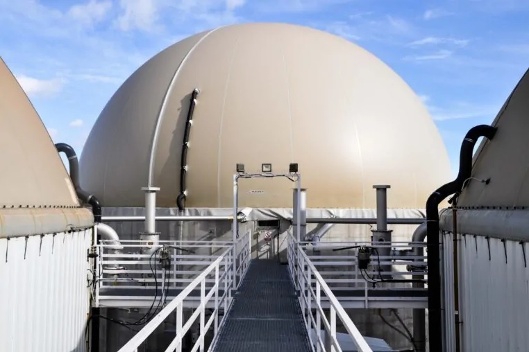 Ence to triple renewables unit EBITDA by 2030