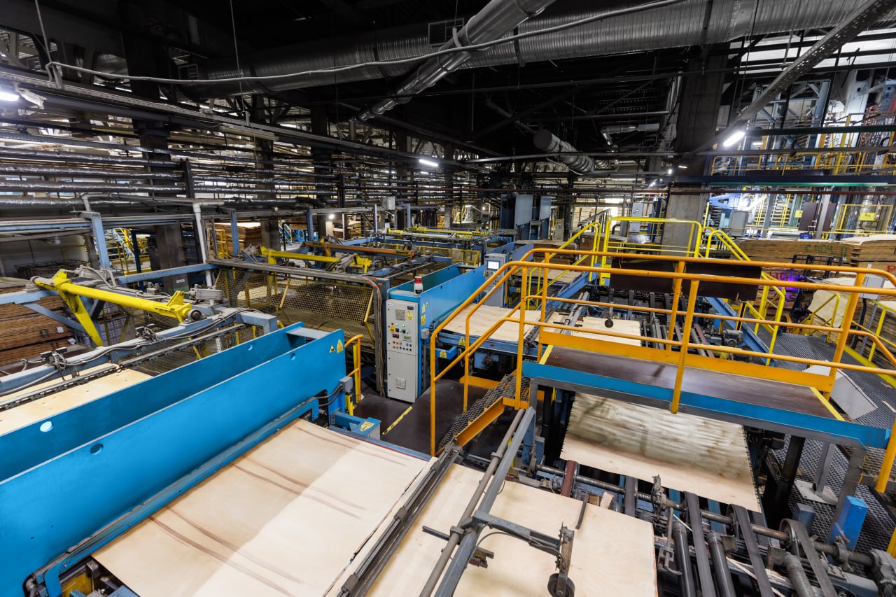 Imports of plywood to Egypt increase 38% in February