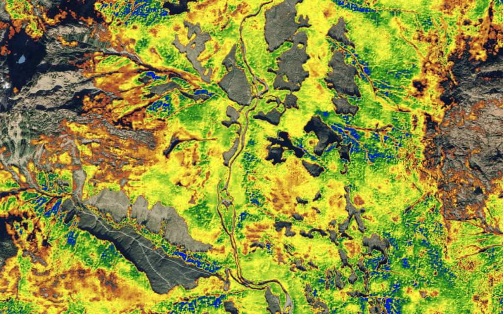 Drax maps carbon stocks of North American forests used for UK biomass power