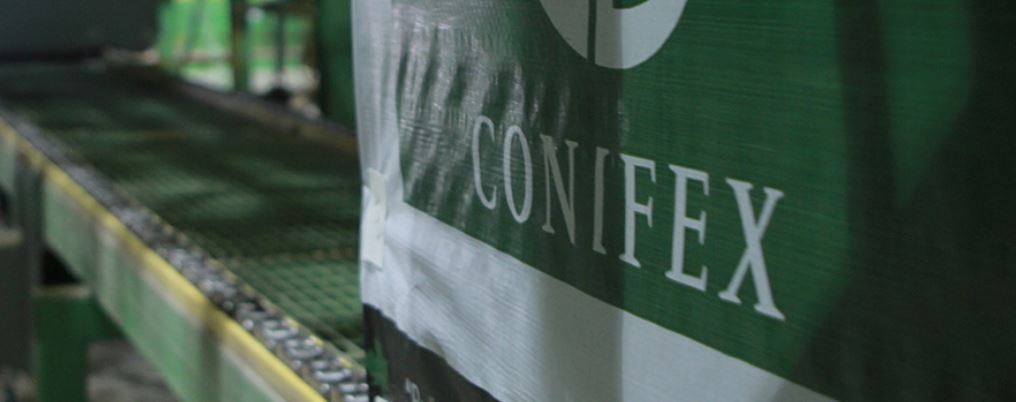 Винни Танг назначена финансовым директором Conifex Timber